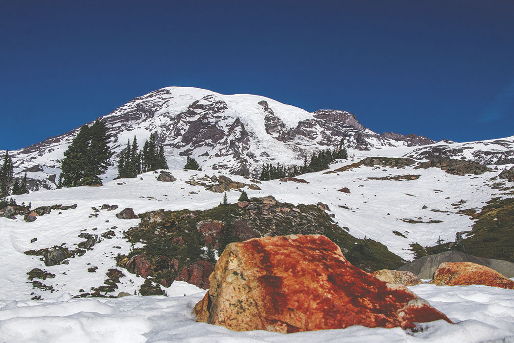 Photos: From Paradise in Mount Rainier National Park